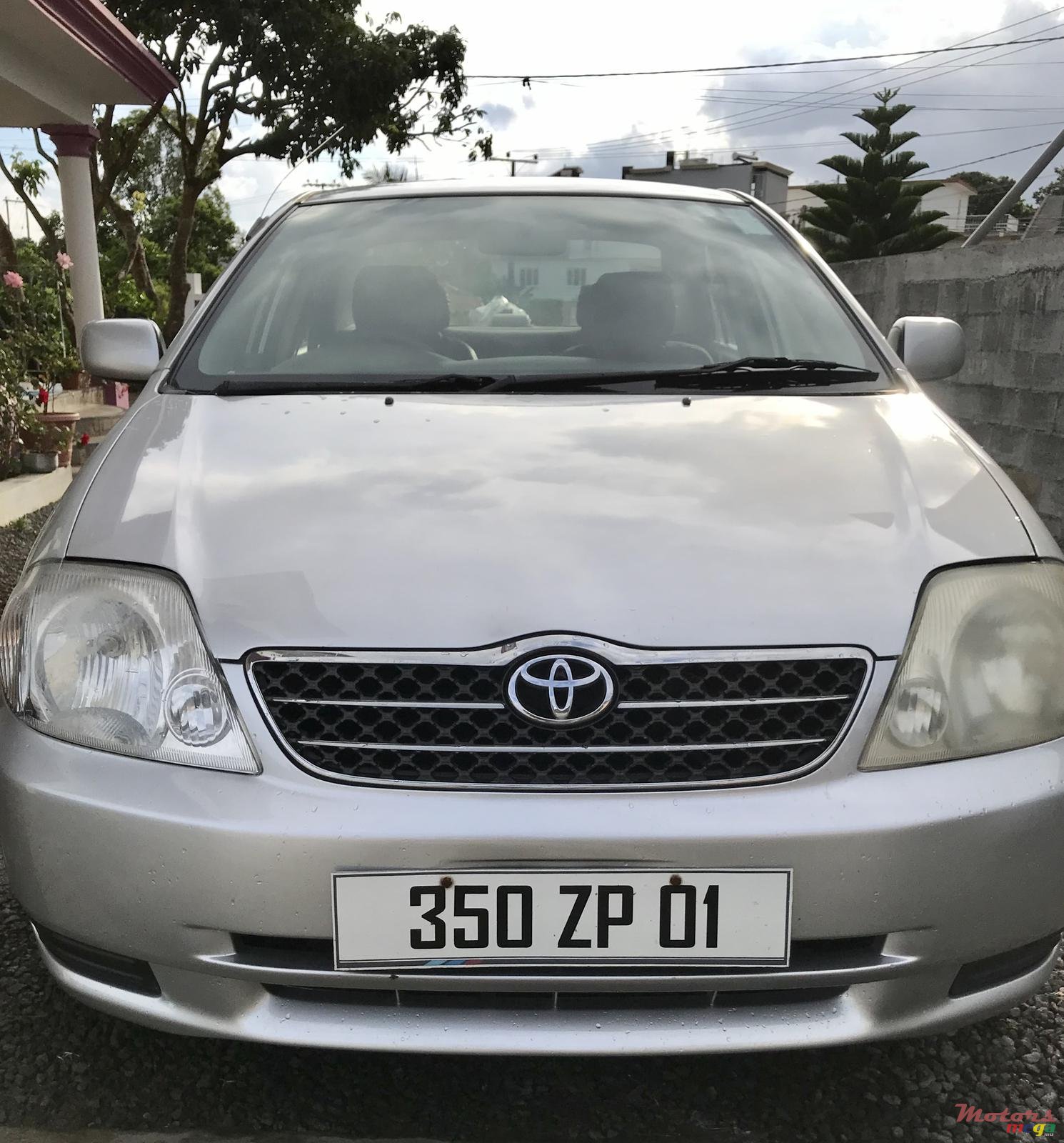 2001' Toyota Corolla photo #1