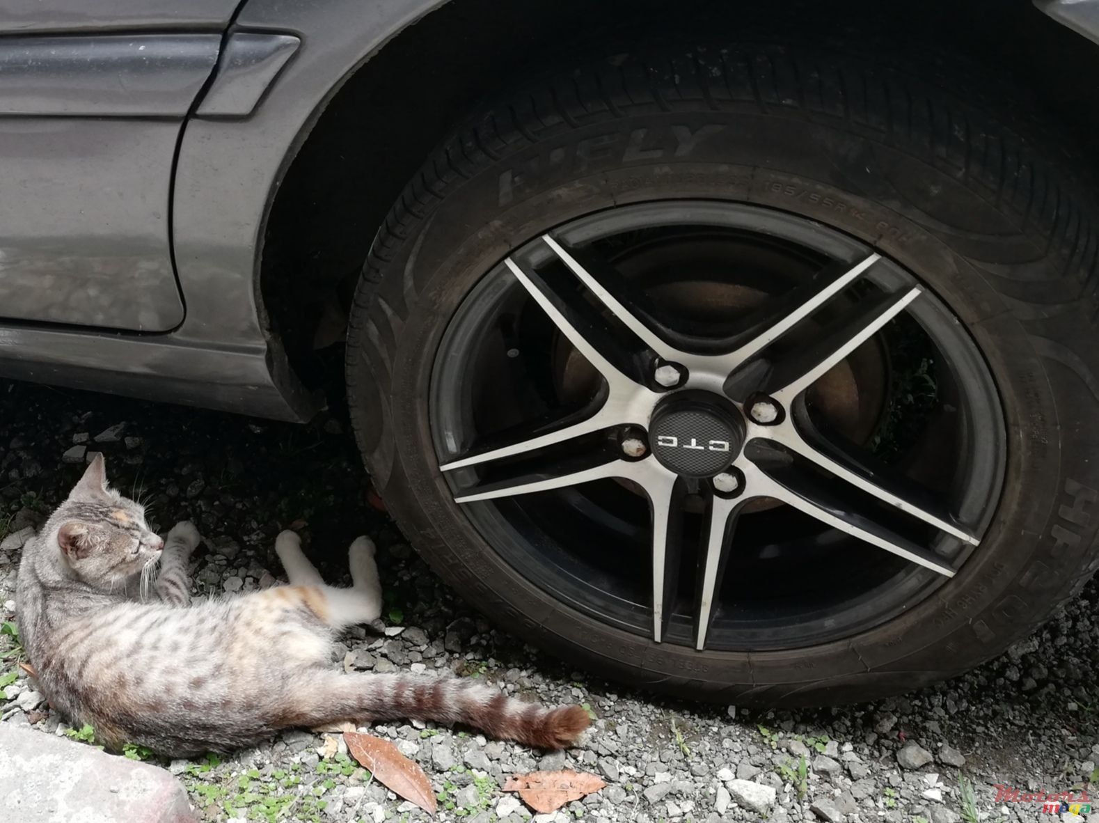 1994' Volkswagen Vento 1391 cc photo #3