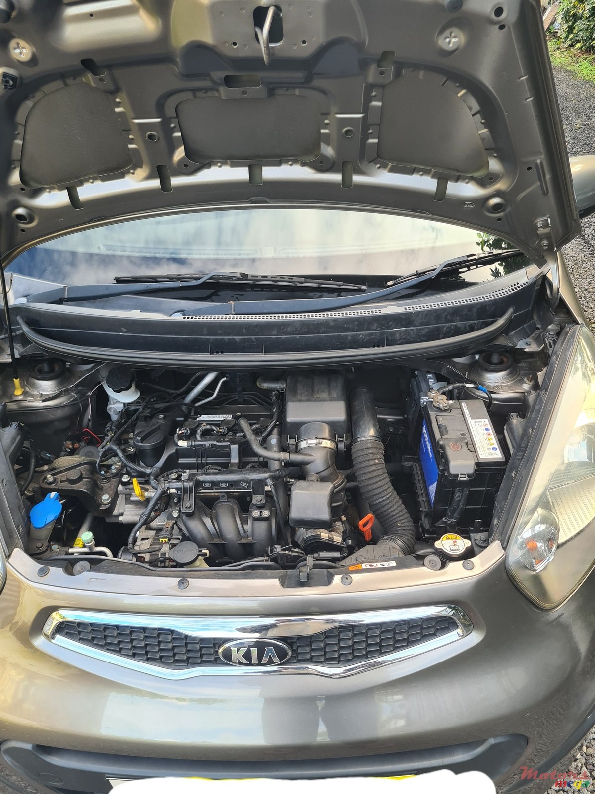 2013' Kia Picanto photo #6