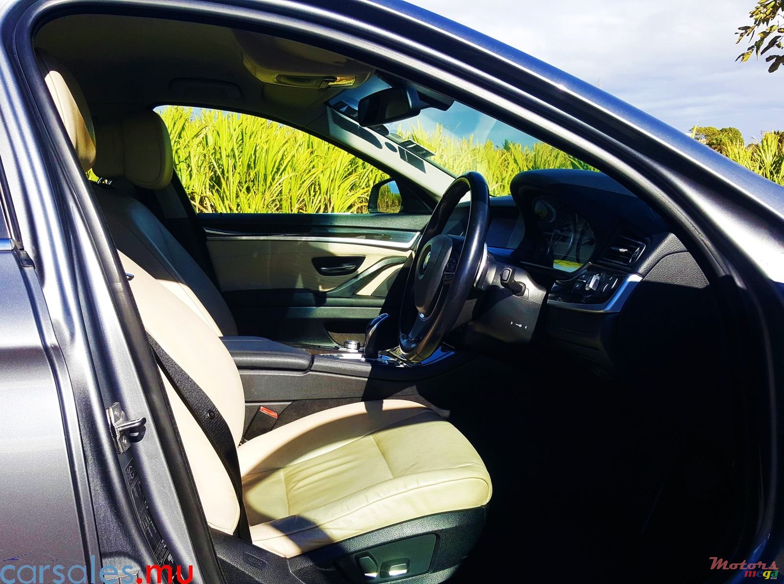 2012' BMW 520 Luxury Line photo #6