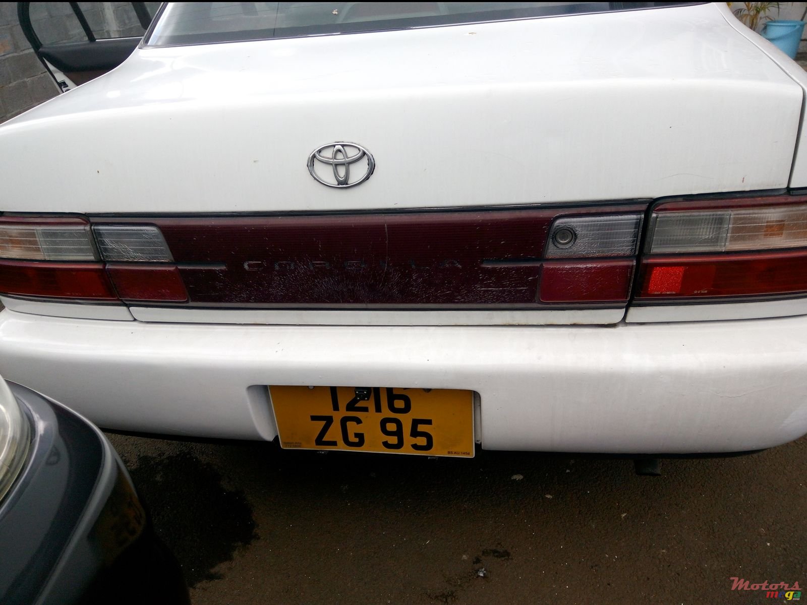 1995' Toyota Corolla photo #1