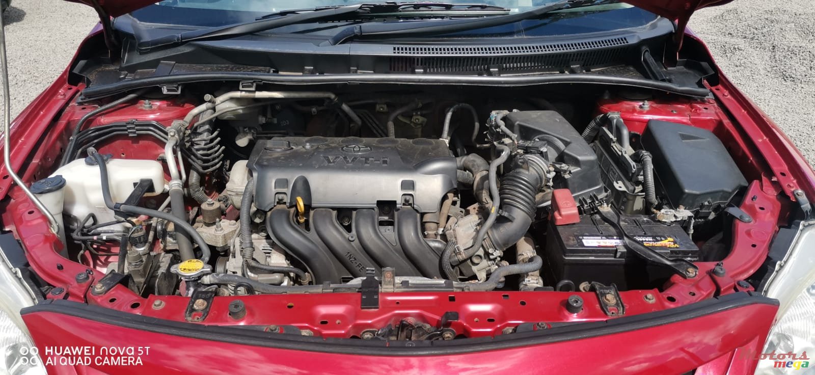 2014' Toyota Corolla GLI photo #2