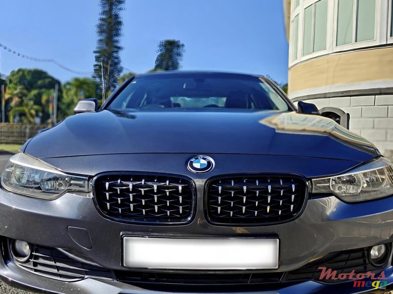 2014' BMW 316 photo #1