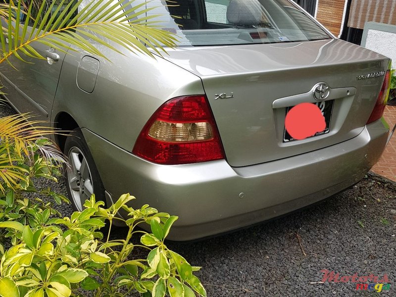 2002' Toyota Corolla NZE photo #1