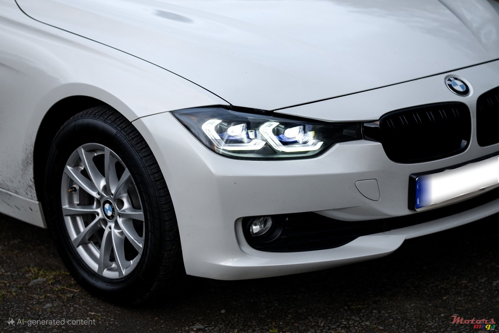 2013' BMW 316 photo #2