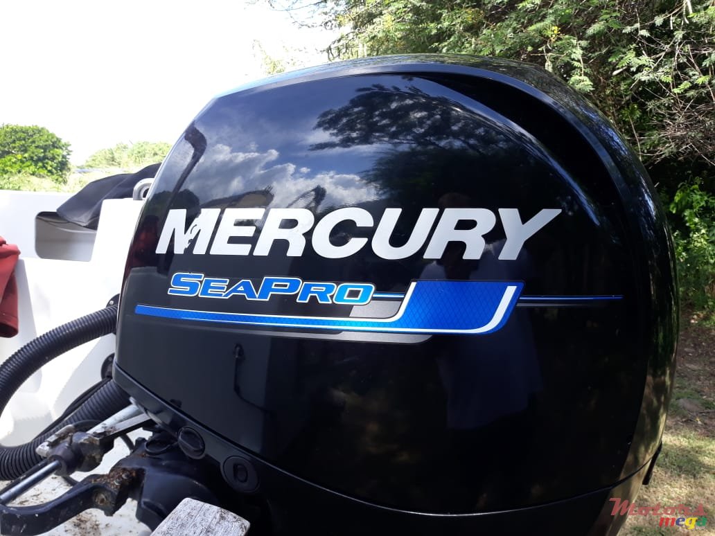 2016' Mercury SeaPro photo #3