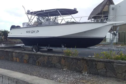 Big Fisher - Used boat for sale Mauritius