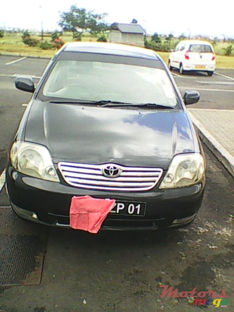 2001' Toyota Corolla photo #1