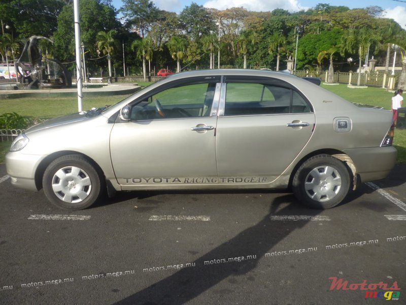 2001' Toyota Corolla NZE XLI photo #3