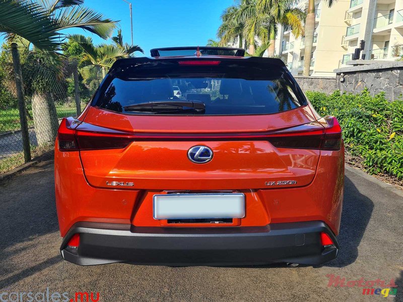 2021' Lexus UX 250h AWD photo #5