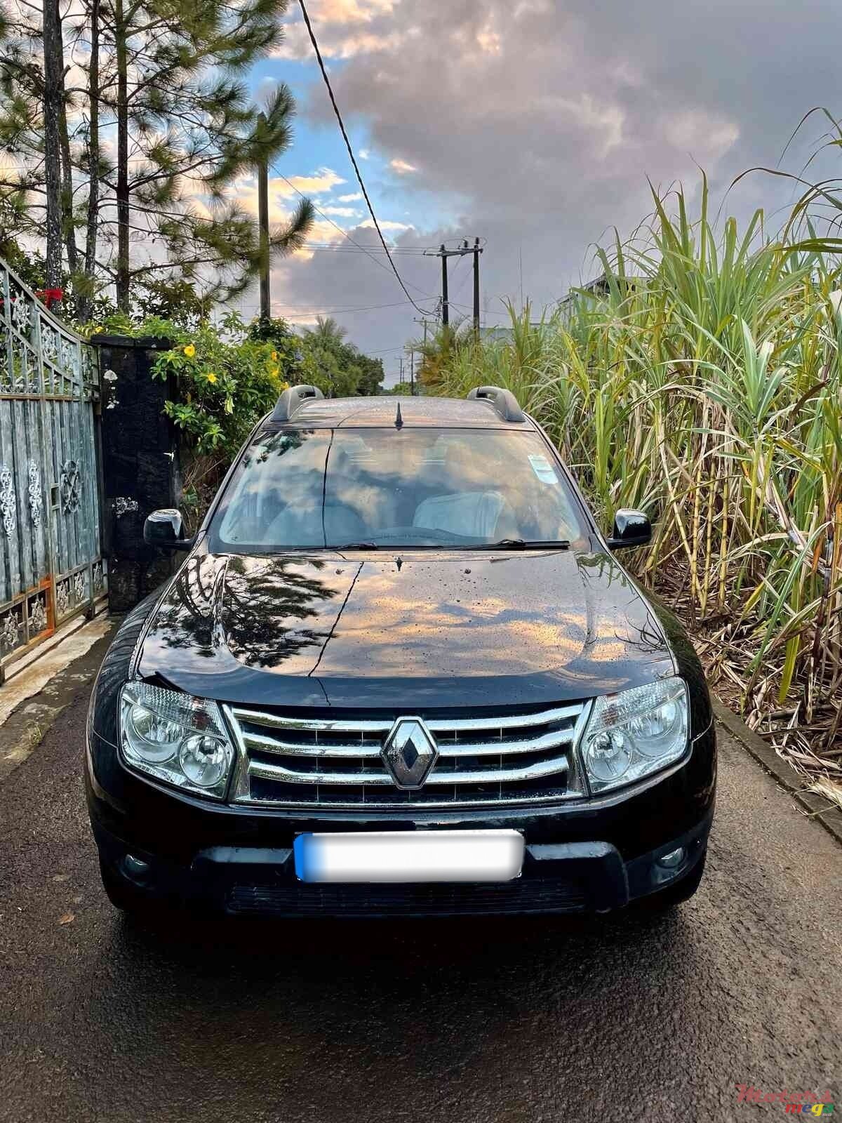 2014' Renault Duster photo #3