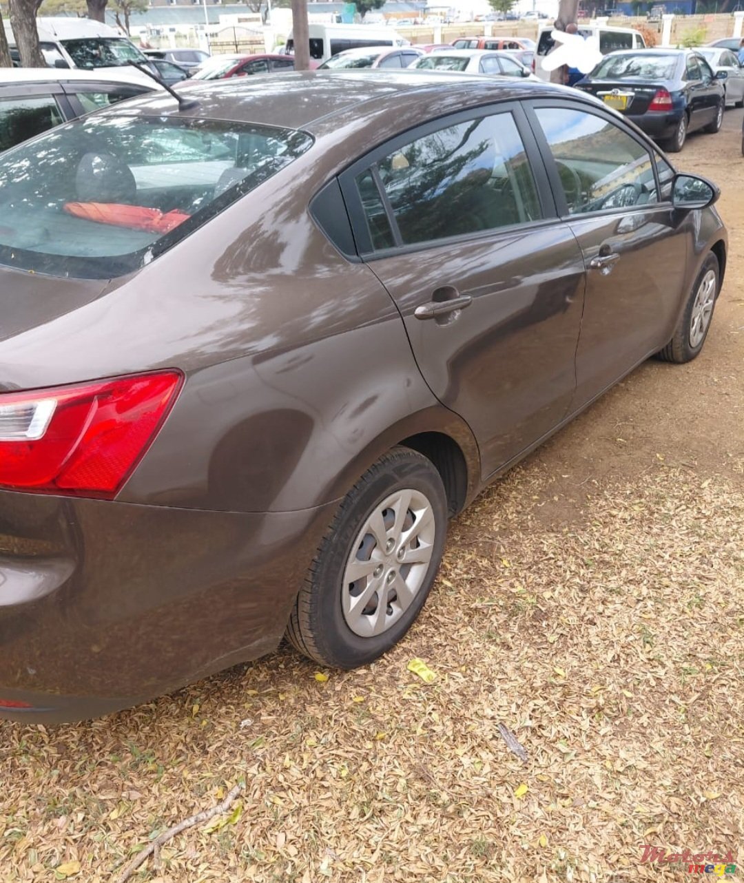 2014' Kia Rio photo #1