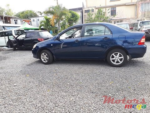 2005' Toyota Corolla NZE photo #5