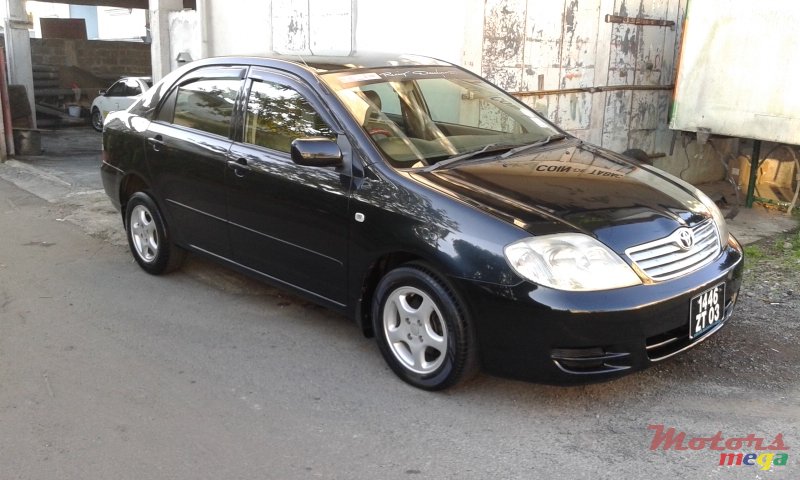 2003' Toyota Corolla photo #1