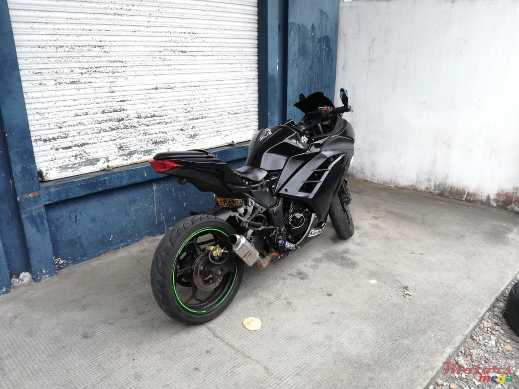 2015' Kawasaki photo #3