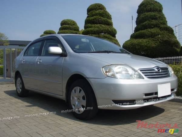 2002' Toyota NZE photo #1