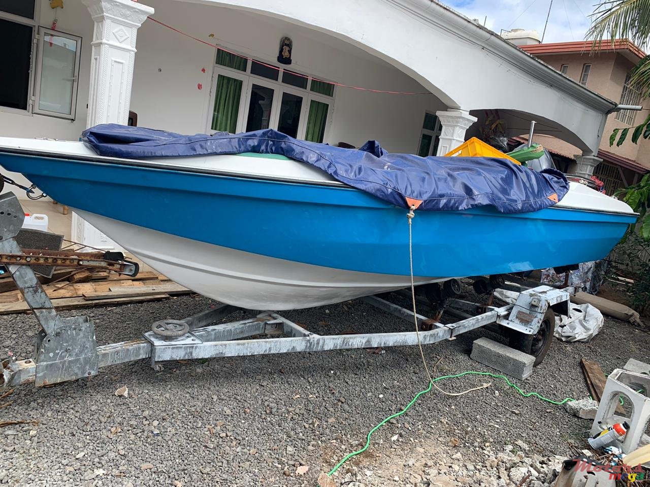 2017' Cobra photo #4