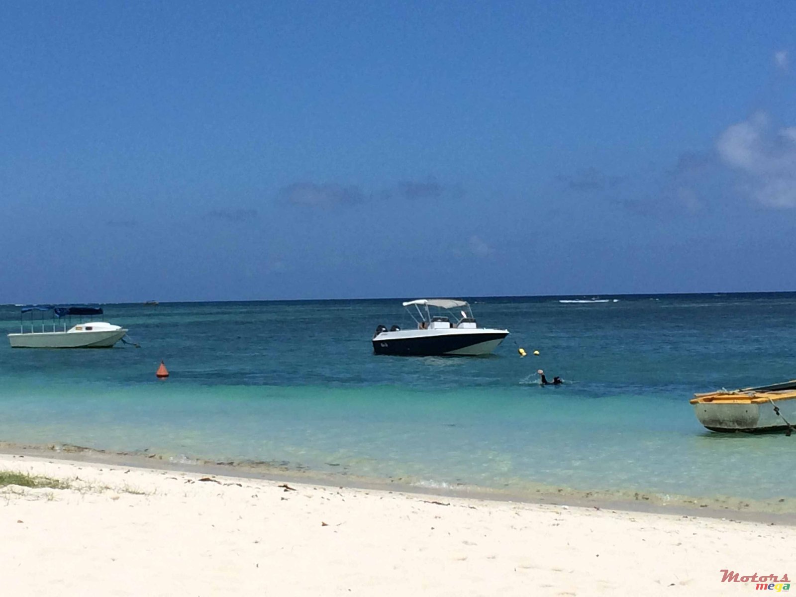 2005' Cobra photo #5