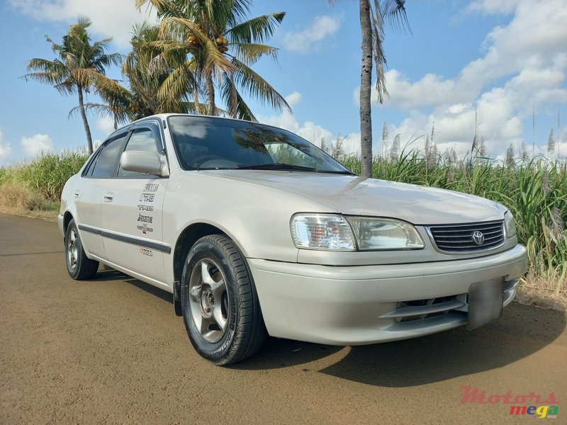 1999' Toyota Corolla EXCELLENT photo #1