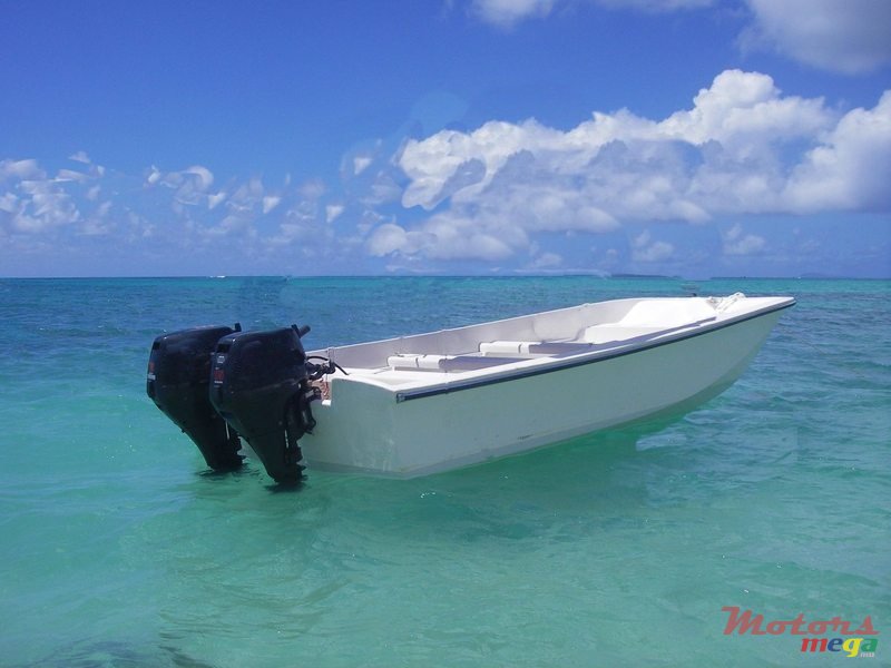 2017' Boston Whaler photo #1