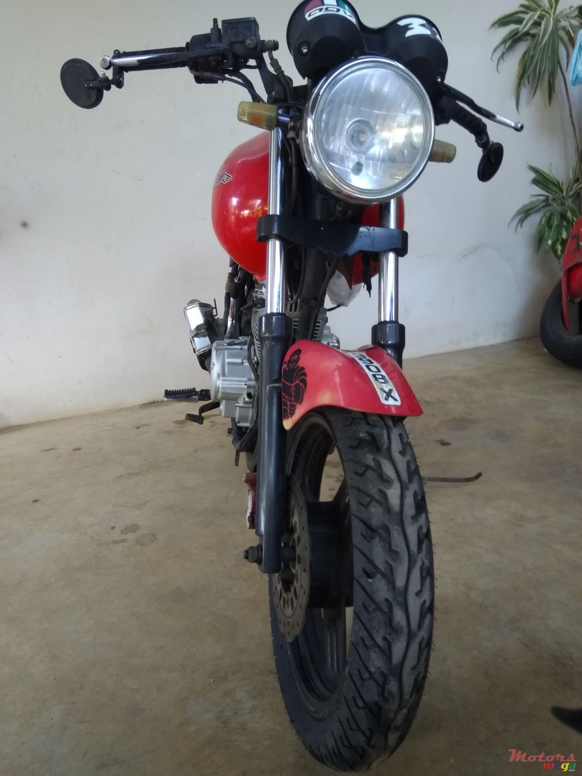 2013' Regal-Raptor photo #1