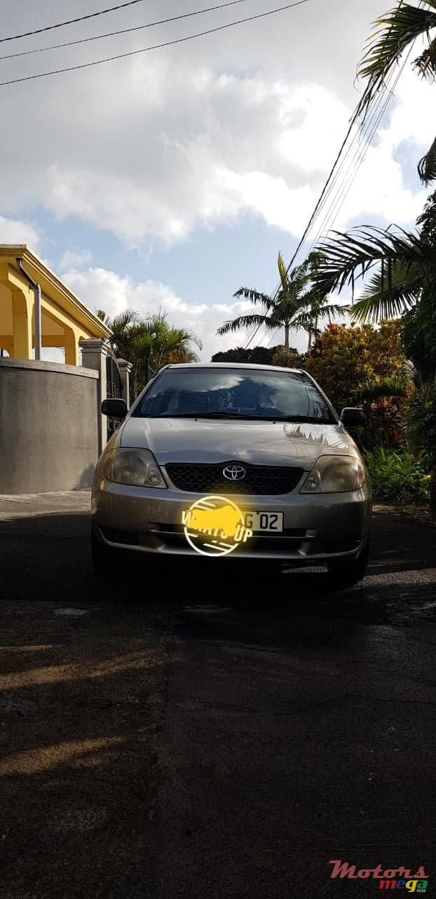 2002' Toyota Corolla NZE photo #1