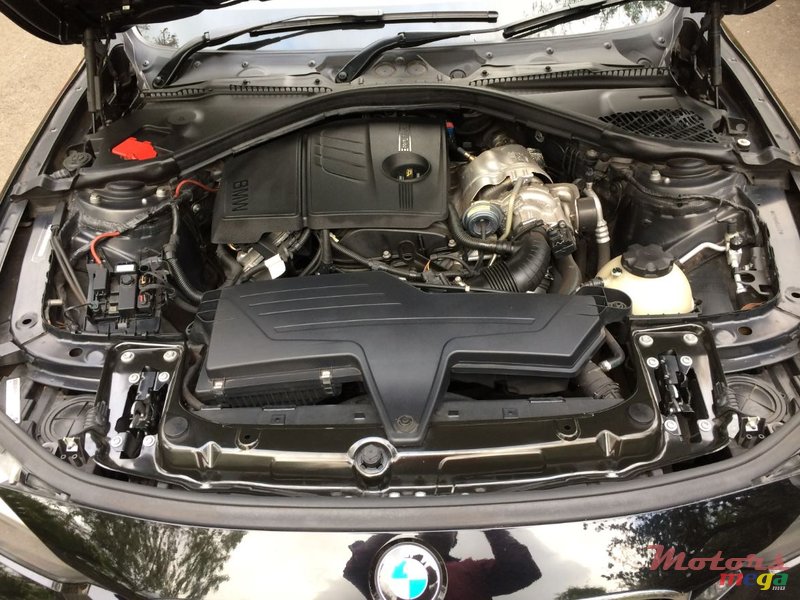 2013' BMW 3 Series Sedan 320i (Twin Power Turbo) ED photo #3