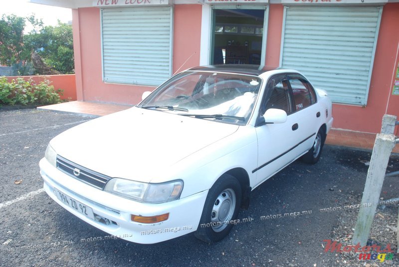 1992' Toyota Corolla photo #2