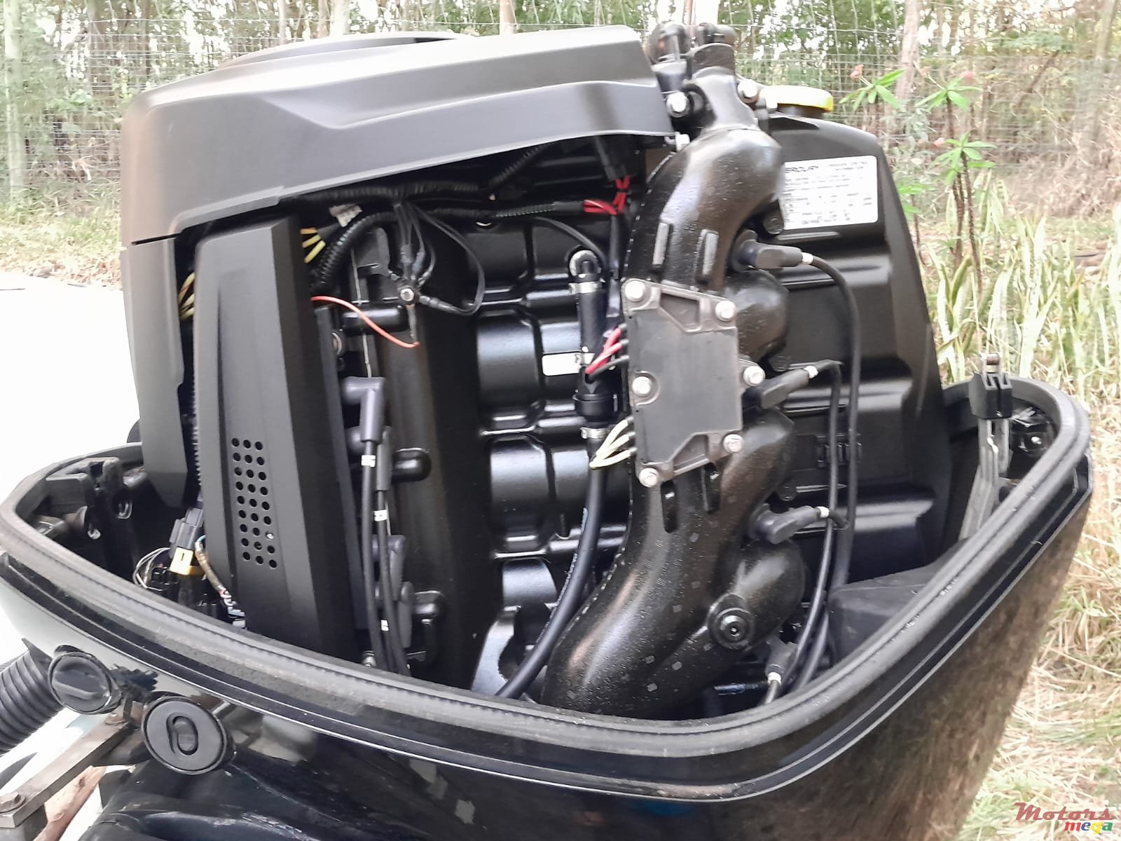 2008' Tremlett photo #7