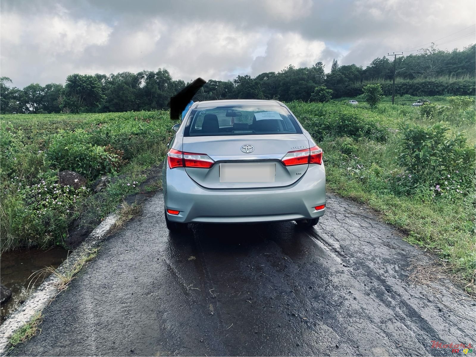 2017' Toyota Corolla photo #4