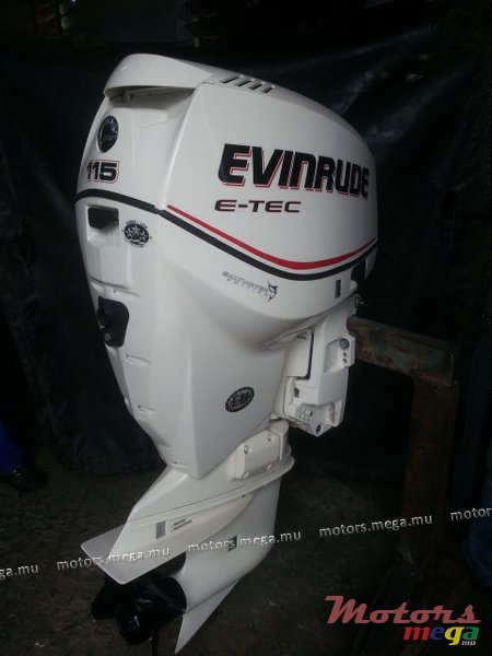 2006' Evinrude E-TEC photo #1