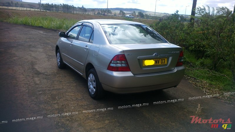 2003' Toyota Corolla NZE photo #2