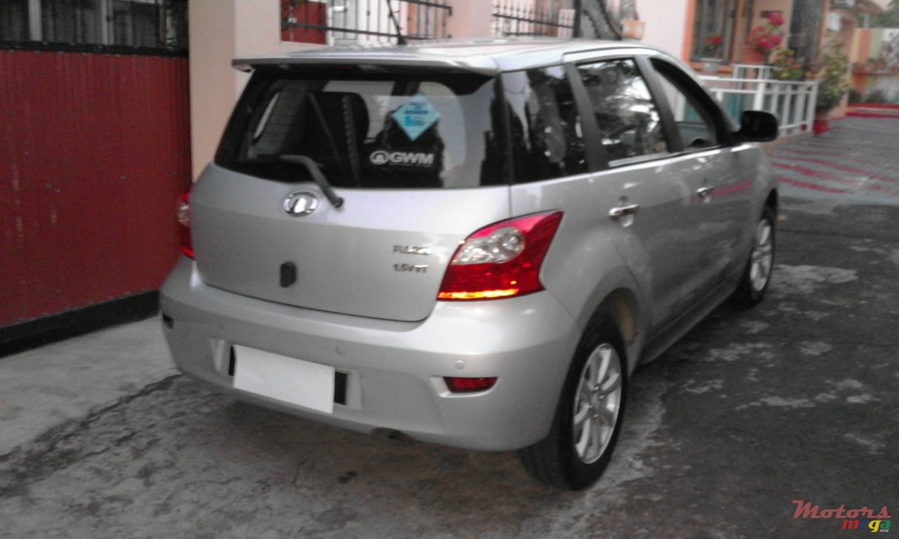 2011' GWM Florid photo #2