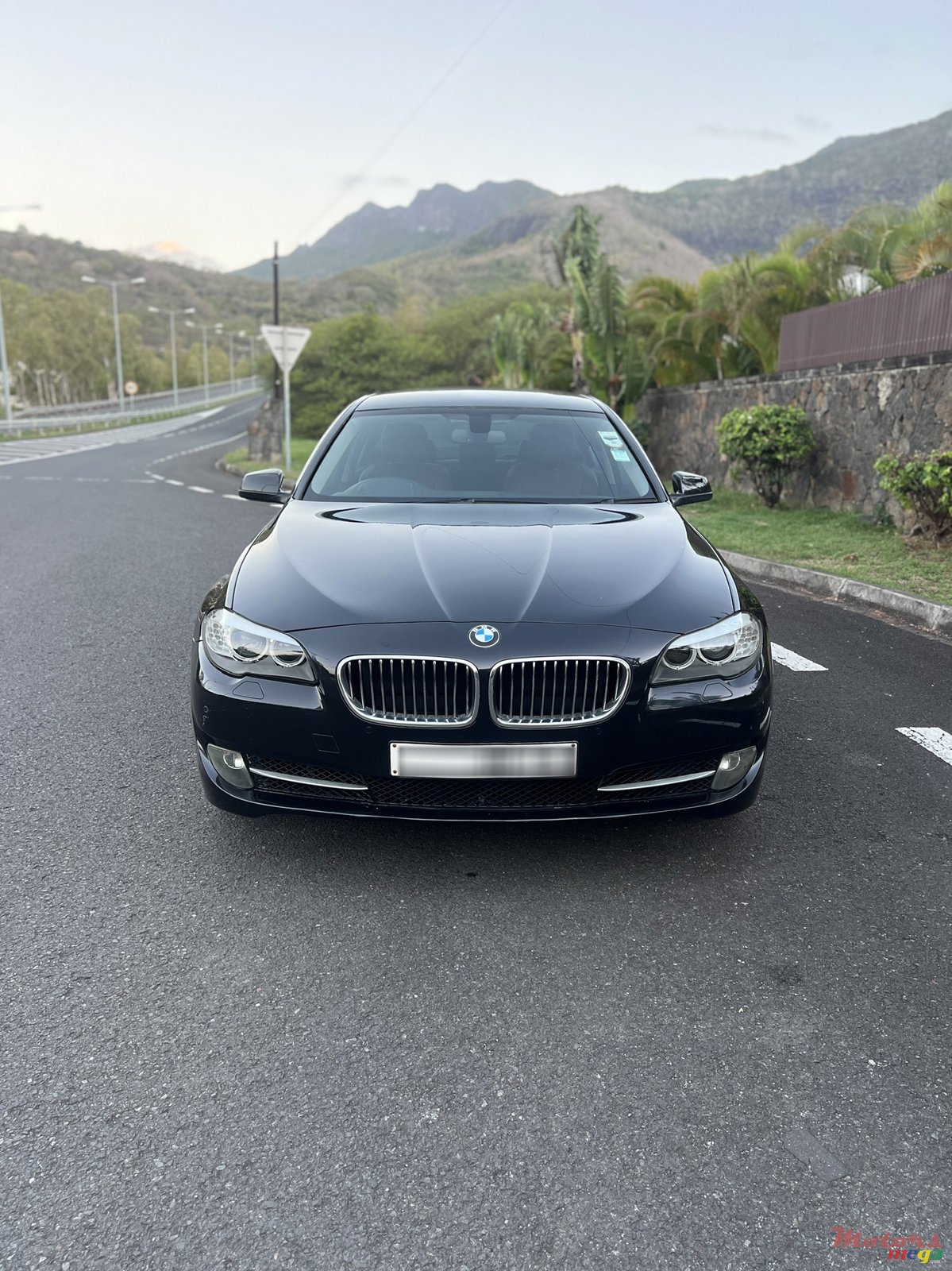 2013' BMW 520 photo #2