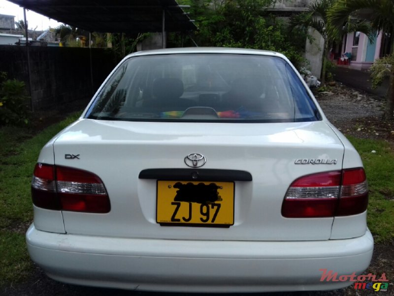 1997' Toyota Corolla photo #2