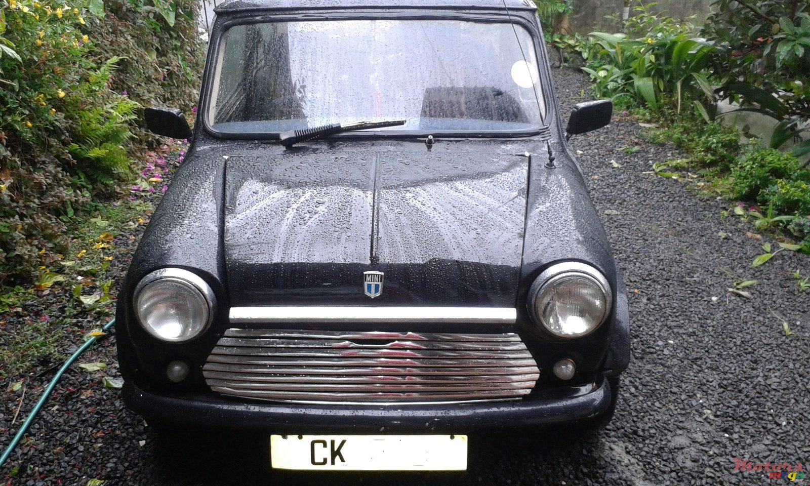 1987' MINI Austin photo #1