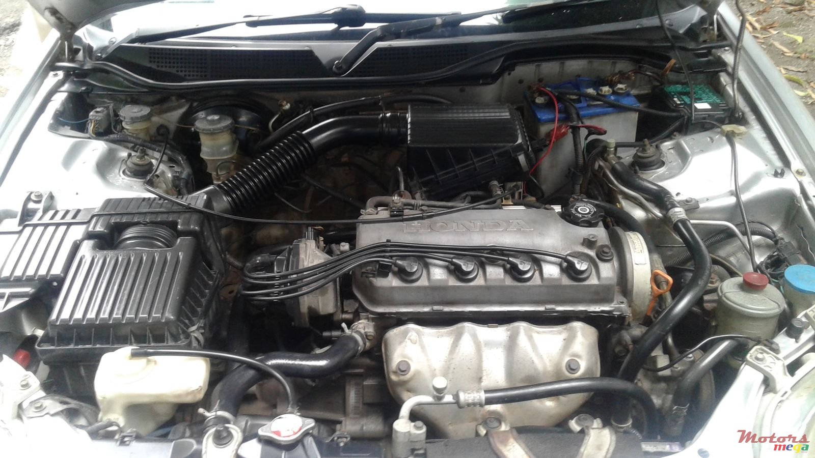 1998' Honda Civic photo #3