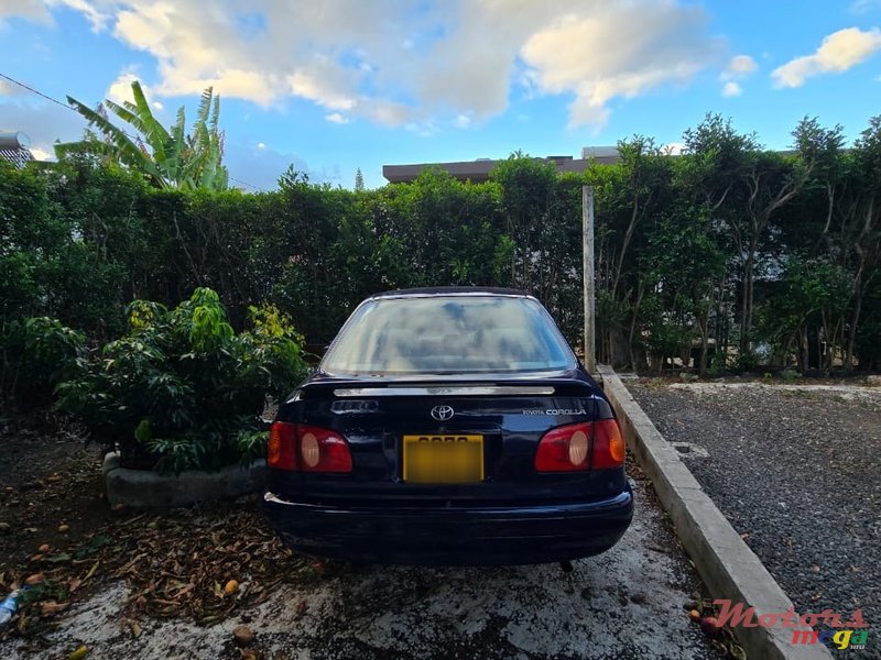 1998' Toyota Corolla photo #3