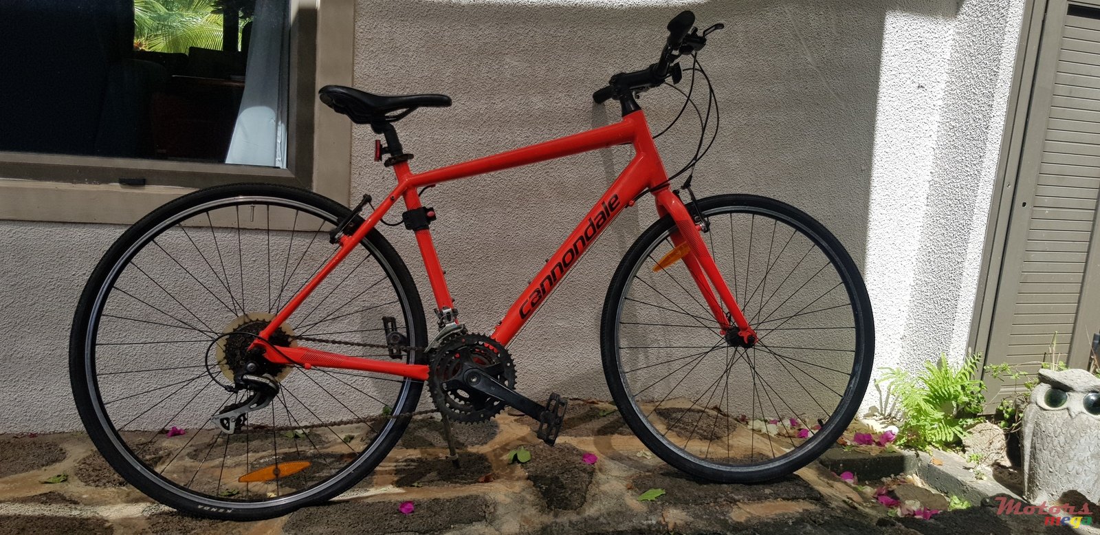 2019' Cannondale photo #2