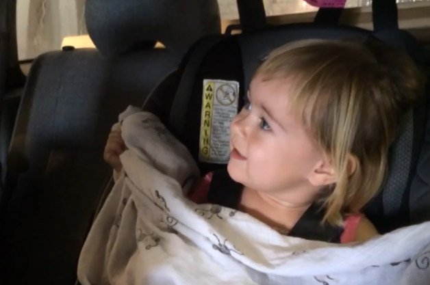 Watch This Adorable 2-Year-Old Freak Out Over Her First Car Wash