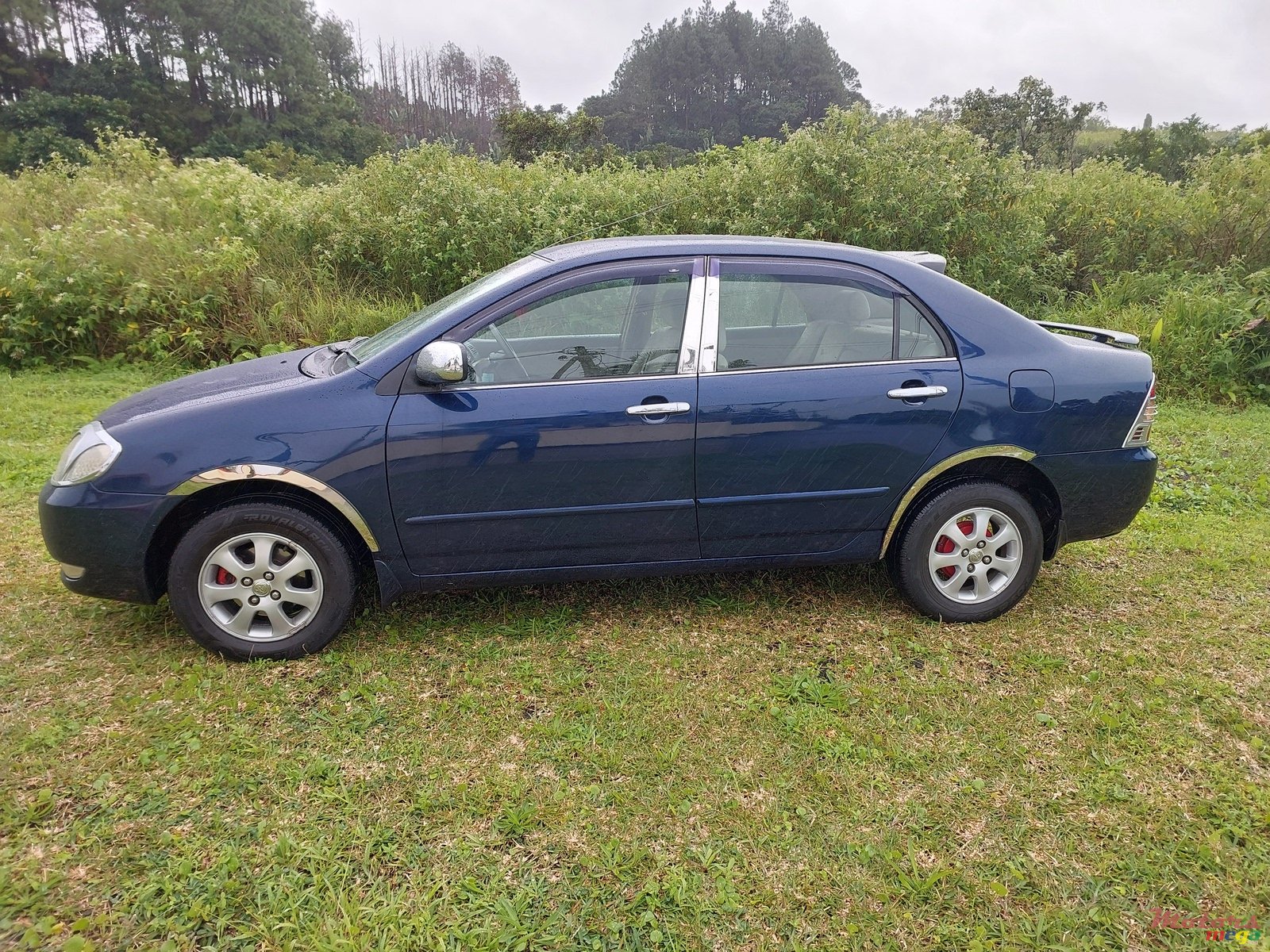 2001' Toyota Corolla photo #4