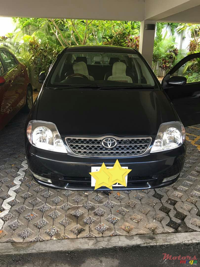 2002' Toyota photo #2