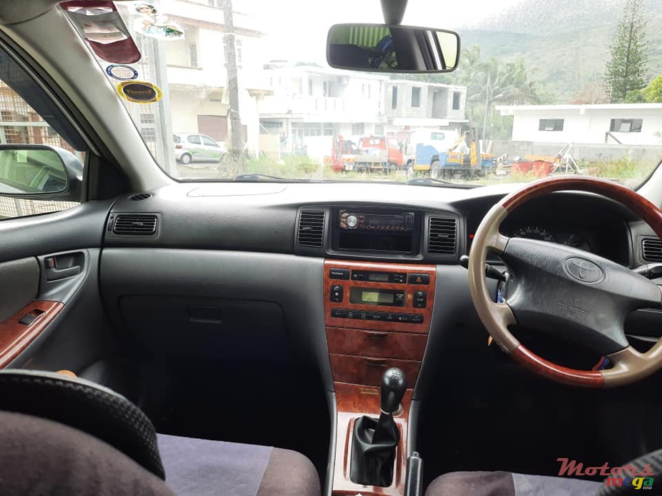 2003' Toyota Corolla NZE photo #4