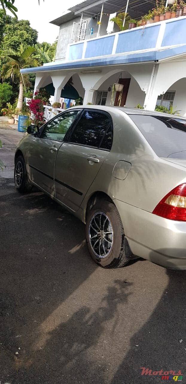 2002' Toyota Corolla NZE photo #5
