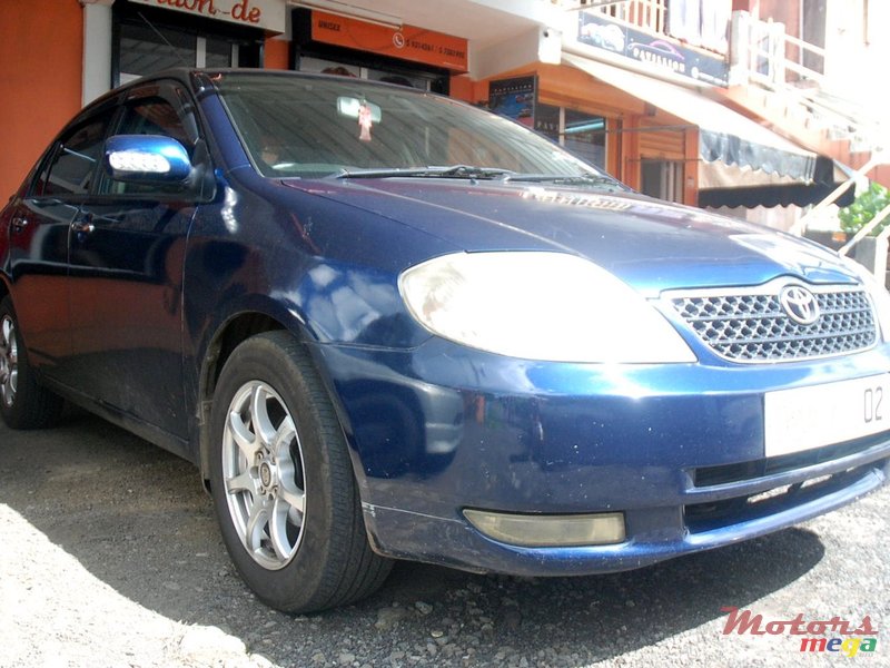 2002' Toyota Corolla photo #4