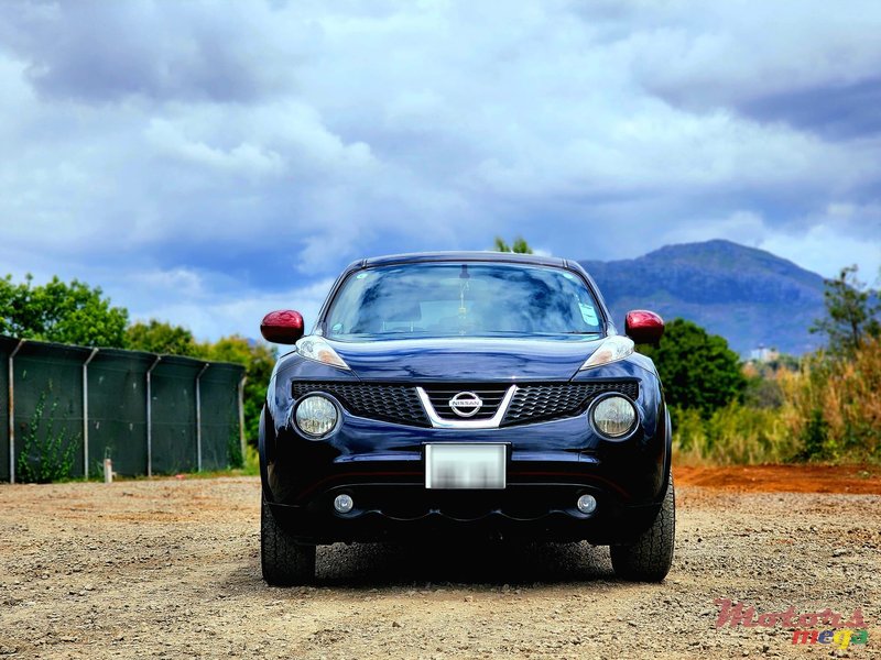 2013' Nissan Juke photo #1