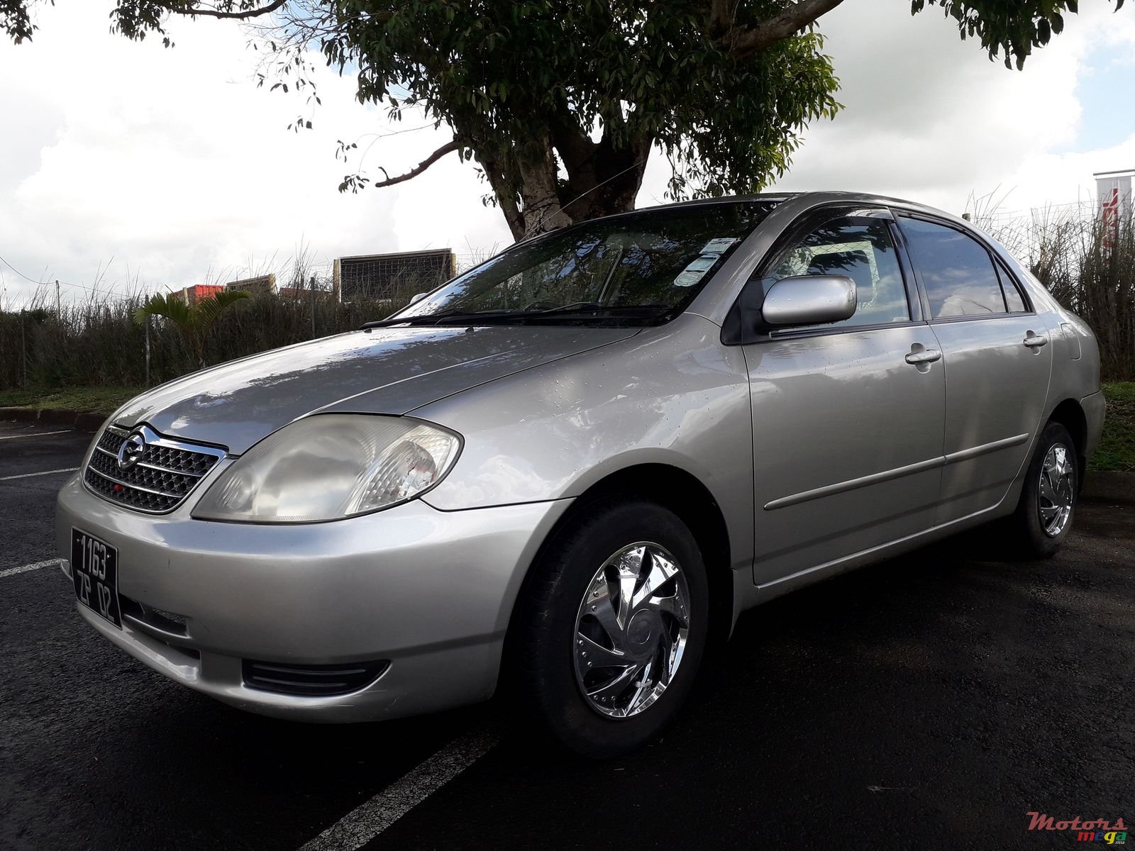 2002' Toyota Corolla photo #3