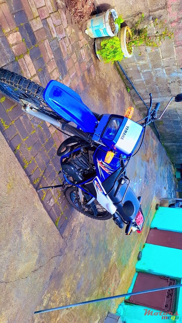 2008' Yamaha photo #5