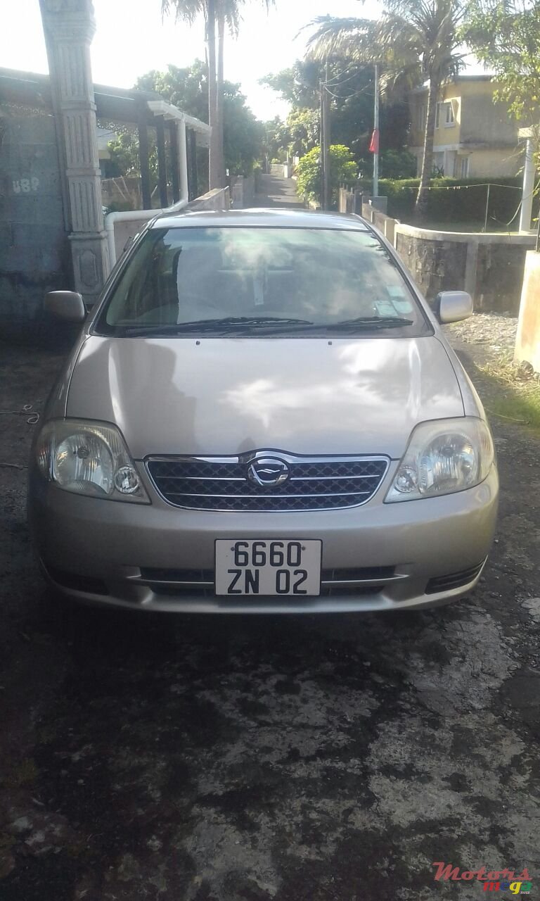 2002' Toyota Corolla photo #1
