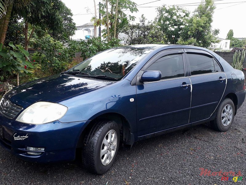 2003' Toyota Corolla GLi photo #3